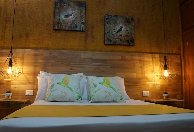 酒店 El Jardin De La 10   Hostel