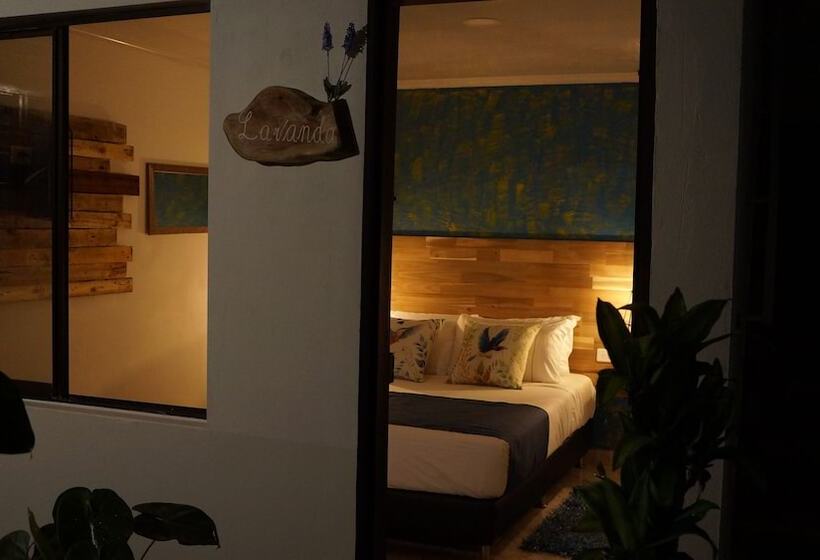 酒店 El Jardin De La 10   Hostel