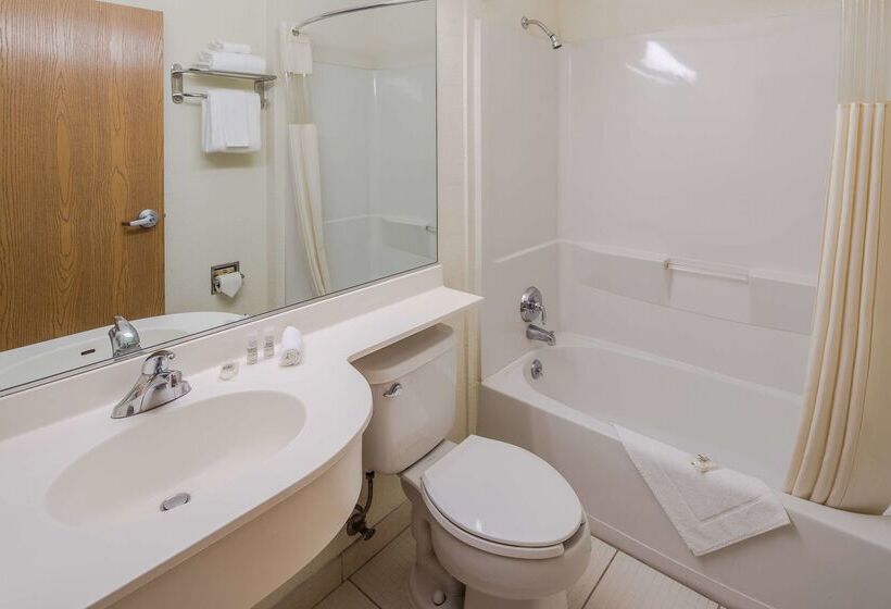 Microtel Inn & Suites By Wyndham Culiacan