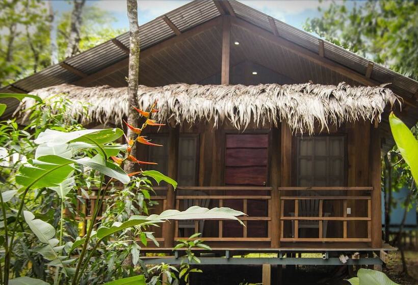 هتل Hidden Paradise Lodge