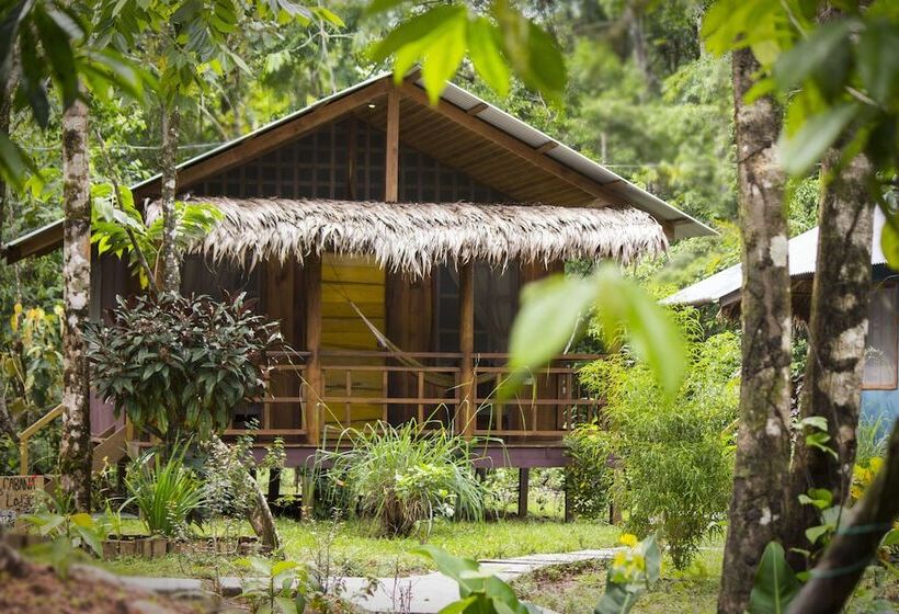 هتل Hidden Paradise Lodge