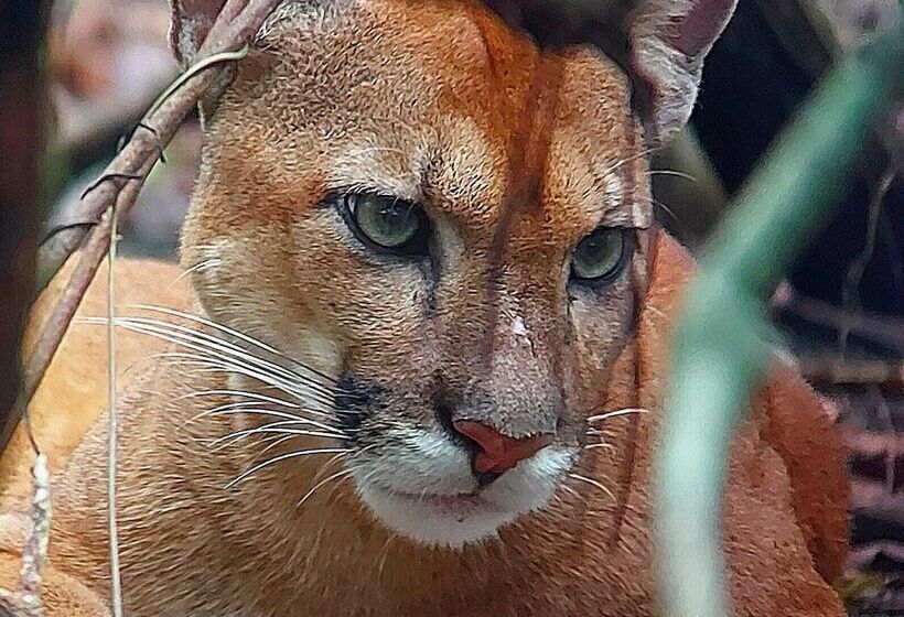 هتل Hidden Paradise Lodge