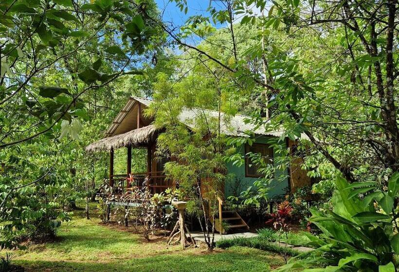 هتل Hidden Paradise Lodge