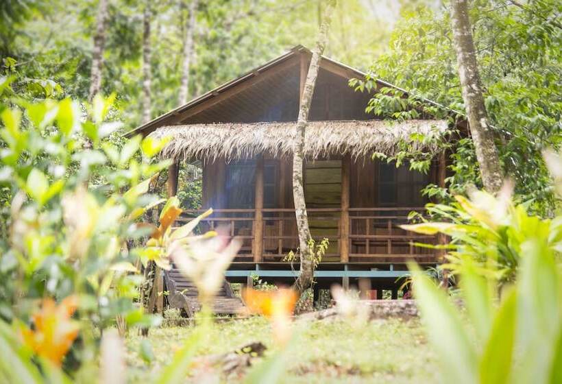 هتل Hidden Paradise Lodge