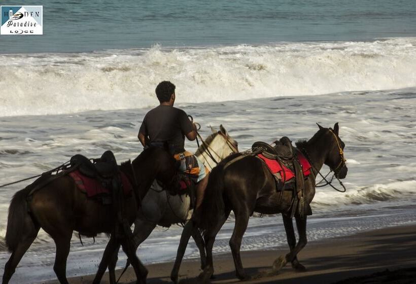 هتل Hidden Paradise Lodge