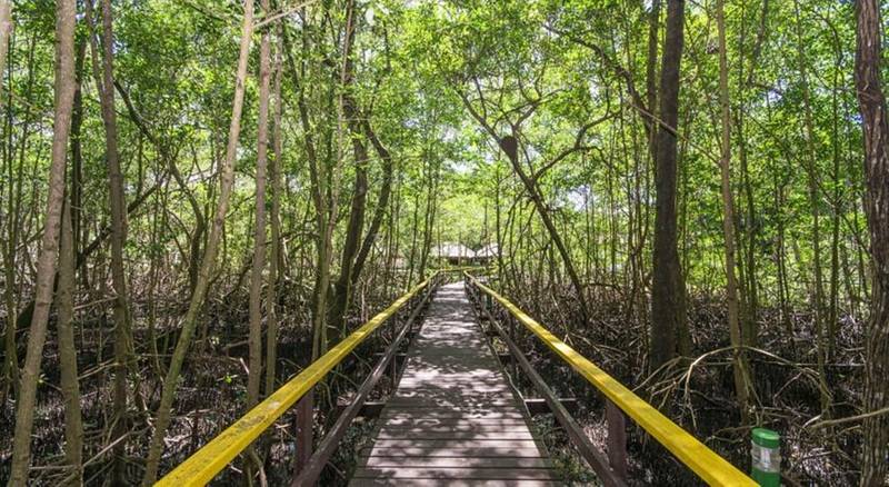 בית מלון כפרי Transamerica Comandatuba   All Inclusive Resort