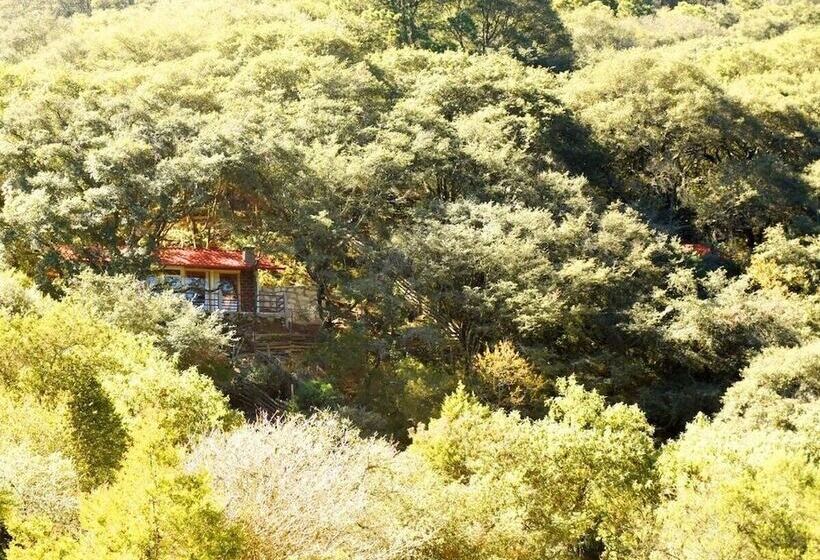 Отель Cabaña El Encino Ii En Real Del Monte