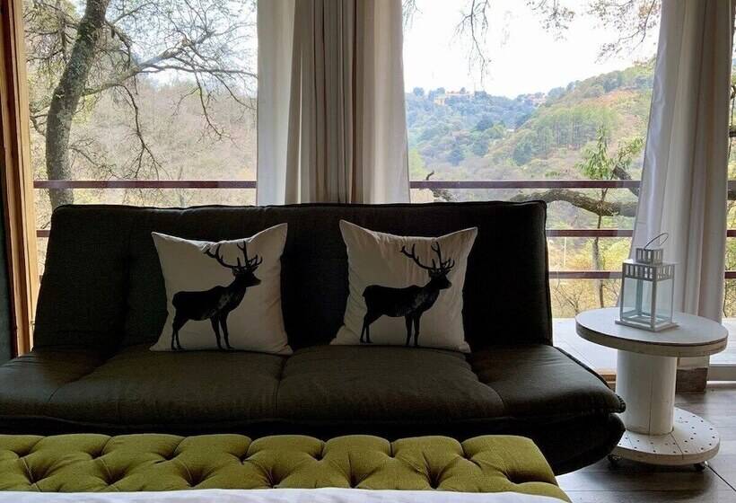 Отель Cabaña El Encino Ii En Real Del Monte