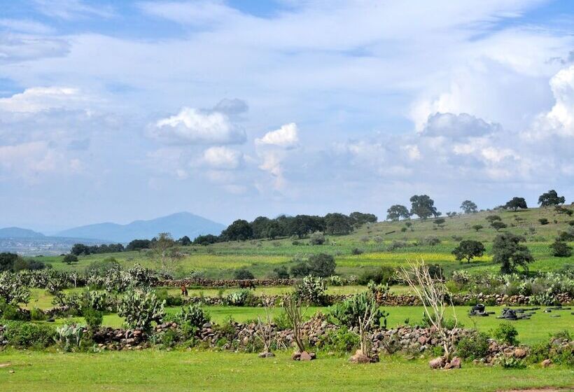 فندق Mision La Muralla