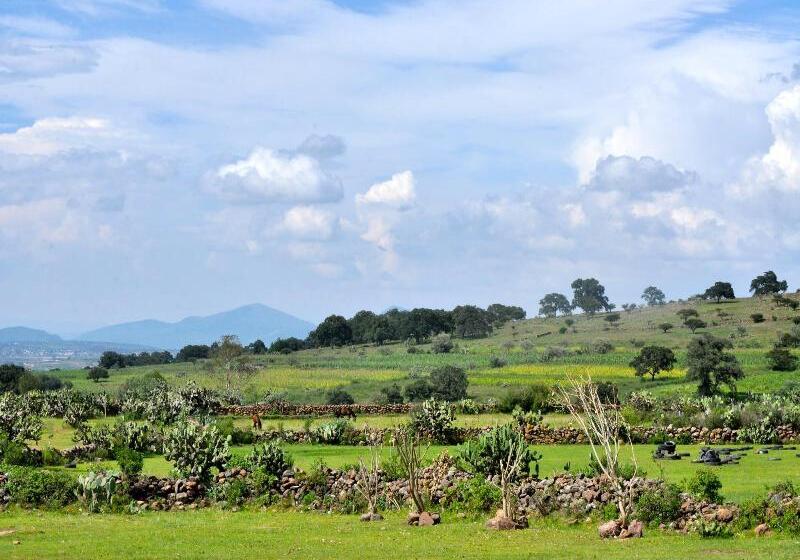 فندق Mision La Muralla