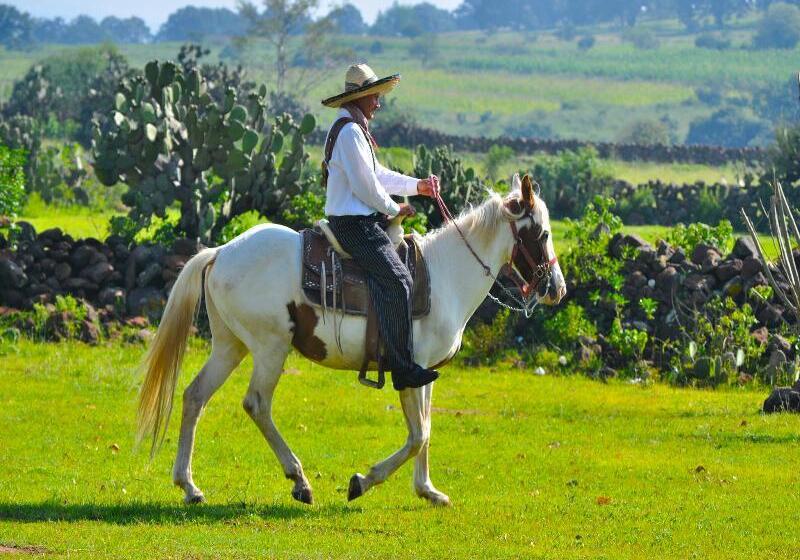 فندق Mision La Muralla