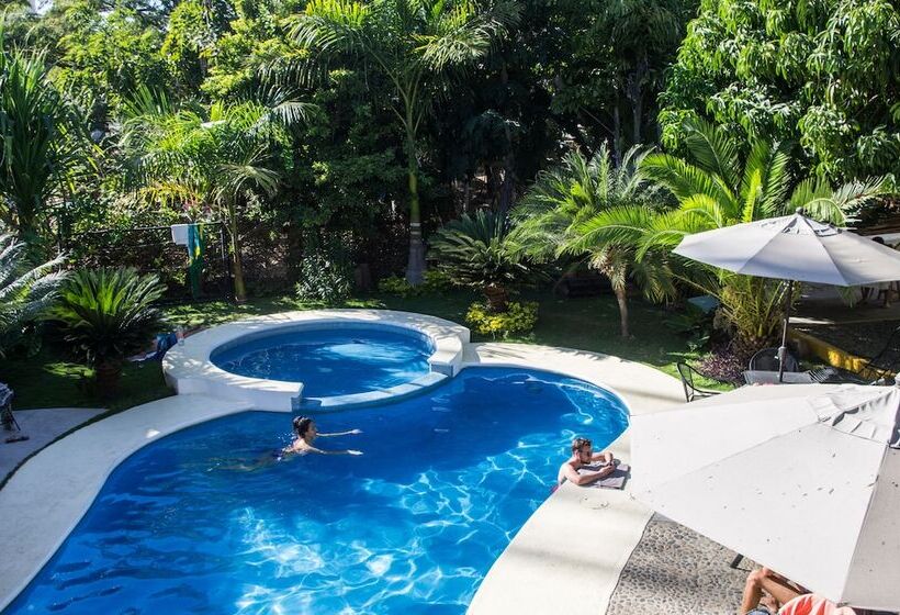 ユースホステル Casa Losodeli & Coworking Adults Only