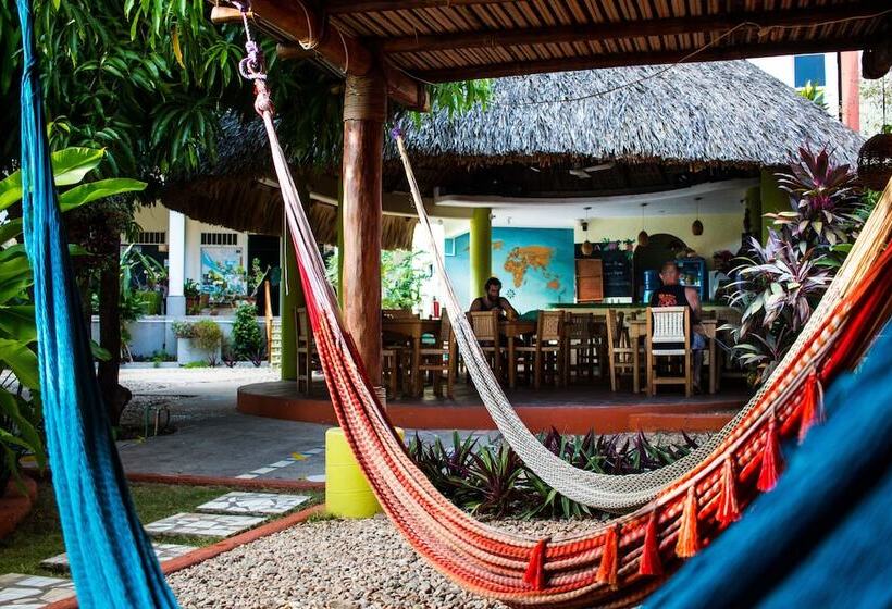 ユースホステル Casa Losodeli & Coworking Adults Only