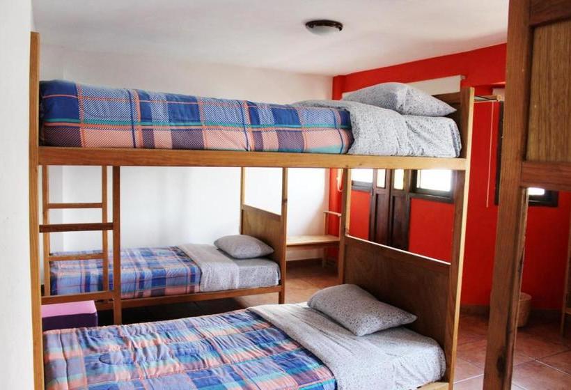 ユースホステル Hostal De San Pedro