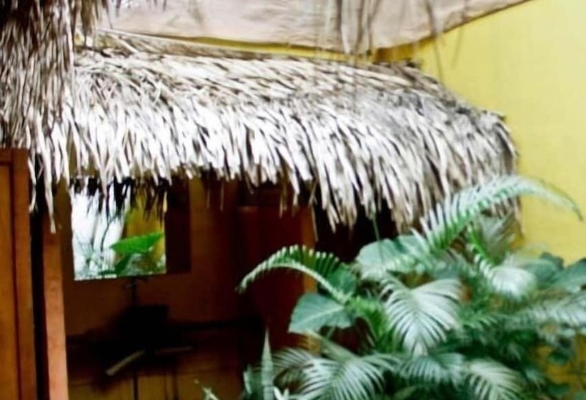 فندق صغير Hostal San Pancho