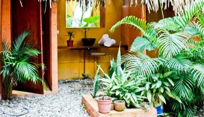 فندق صغير Hostal San Pancho