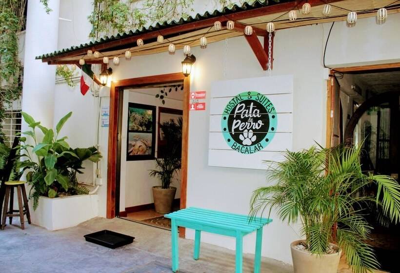 هاستل Hostal & Suites Pata De Perro