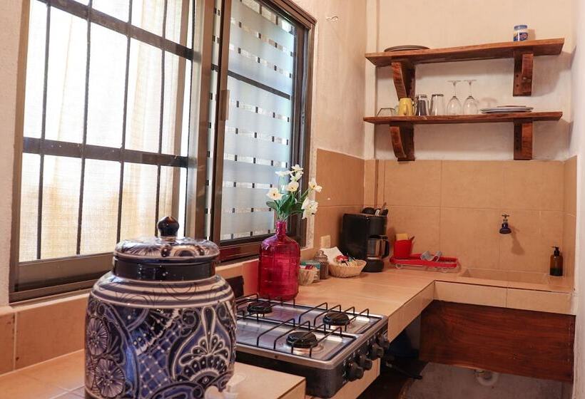 هاستل Hostal & Suites Pata De Perro