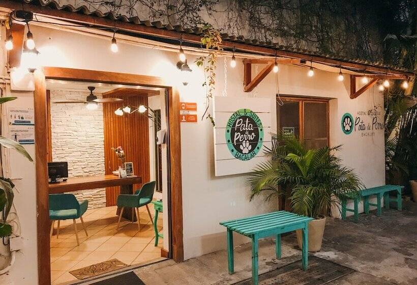 هاستل Hostal & Suites Pata De Perro