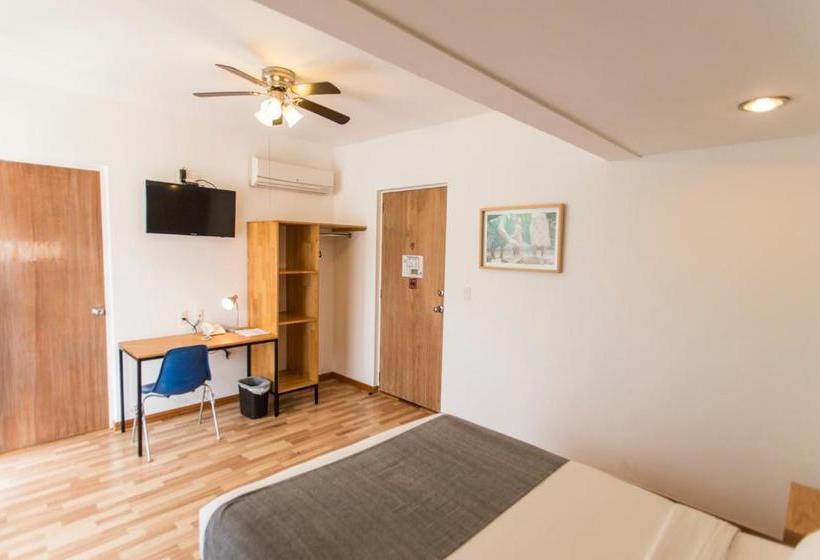 旅馆 Hostal Tres Central