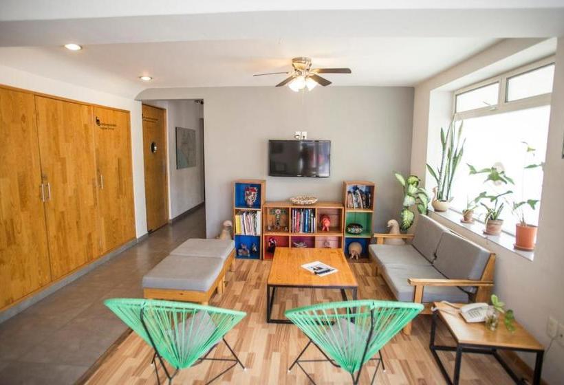 旅馆 Hostal Tres Central