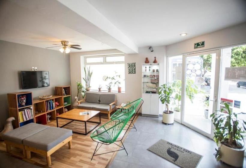 旅馆 Hostal Tres Central