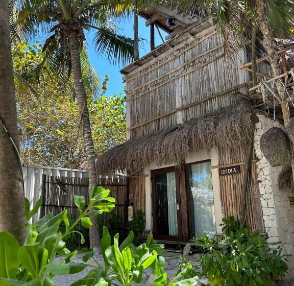 Alquimia Hotel Boutique