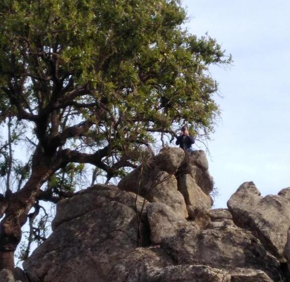 مبيت وإفطار Casas Do Contrabando