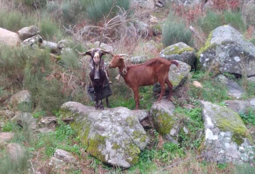 مبيت وإفطار Casas Do Contrabando