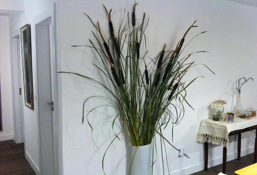 مبيت وإفطار Casas Do Contrabando