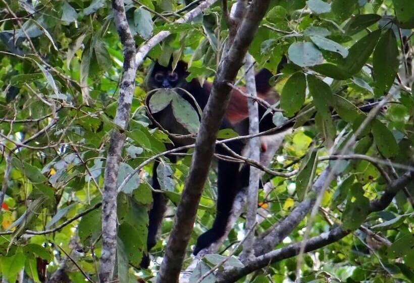 مبيت وإفطار Hacienda Cobá