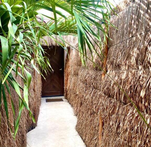 تختخواب و صبحانه Pacha Tulum