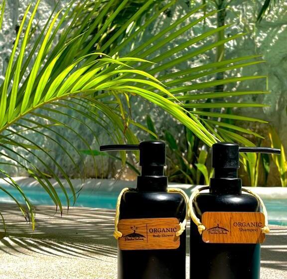 تختخواب و صبحانه Pacha Tulum