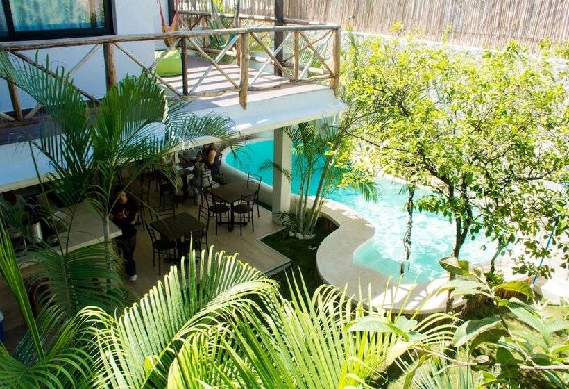 تختخواب و صبحانه Pacha Tulum