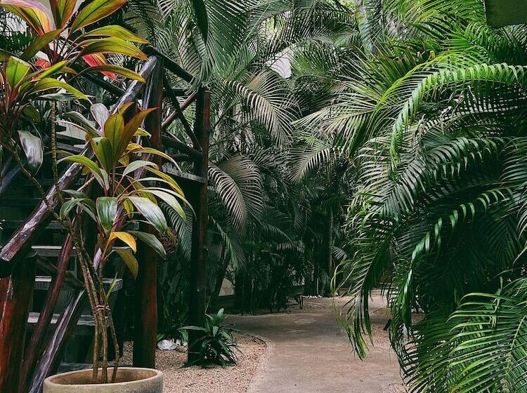 تختخواب و صبحانه Pacha Tulum