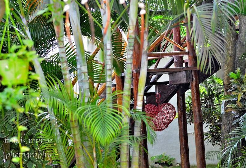 تختخواب و صبحانه Pacha Tulum