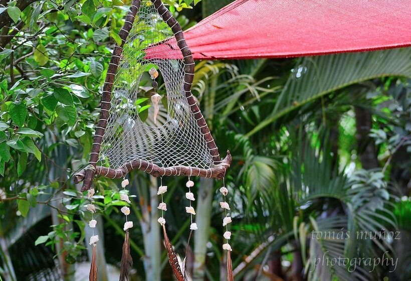 تختخواب و صبحانه Pacha Tulum