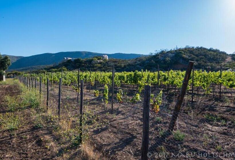 צימר Quinta Estrella