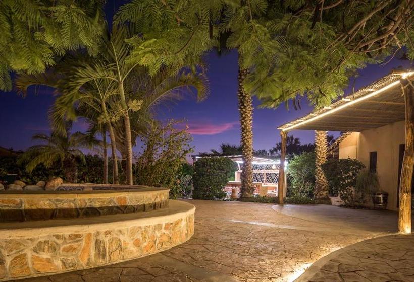 مبيت وإفطار Serendipity