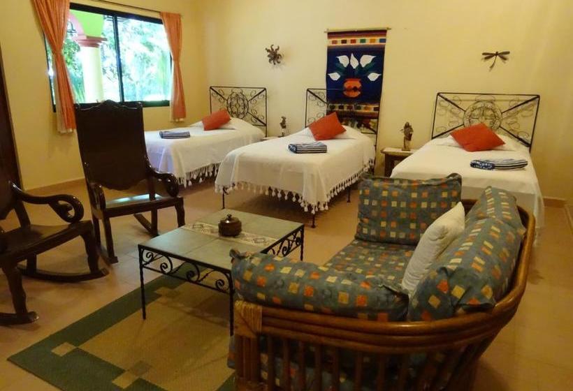 مبيت وإفطار The Flycatcher Inn Boutique