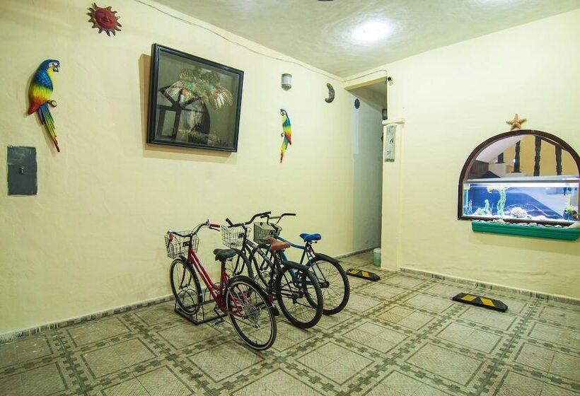 Charlys Hostal Hostel