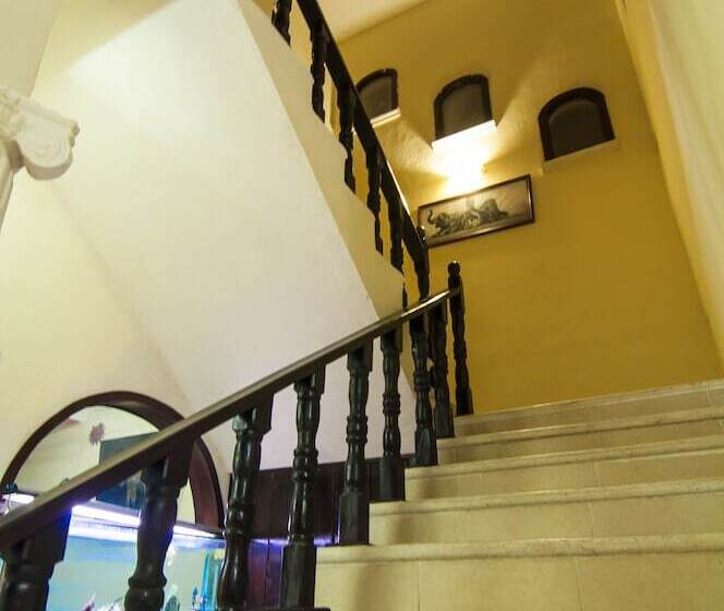 Charlys Hostal Hostel