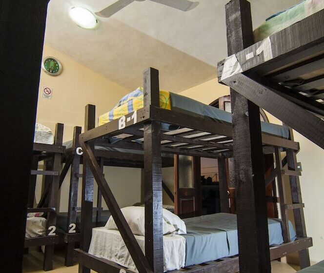 Charlys Hostal Hostel