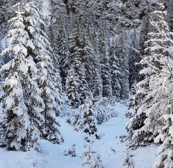 Отель Garni Franca B&b