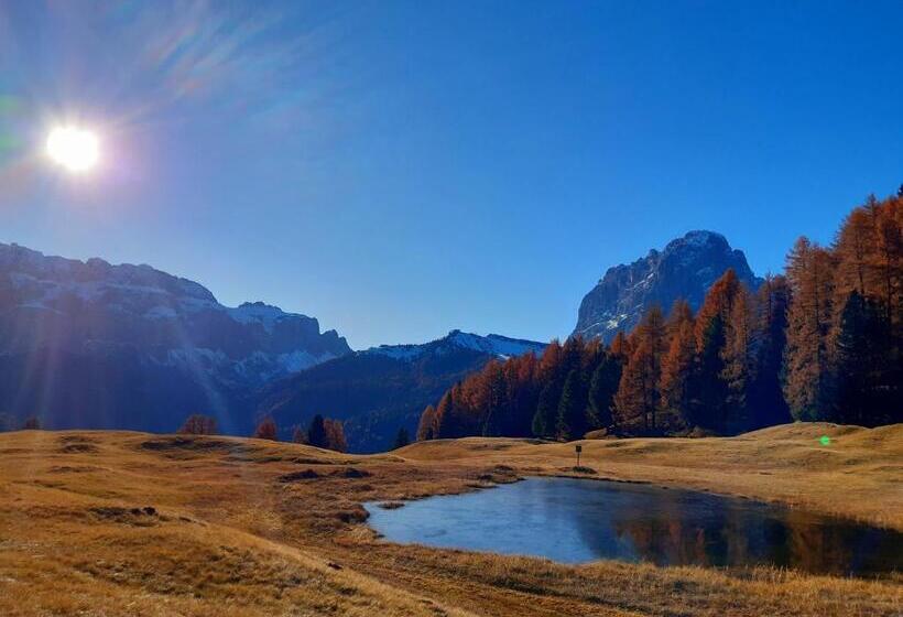 Отель Garni Franca B&b