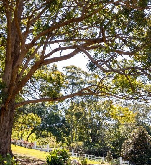 בית מלון כפרי Verandah House Country Estate