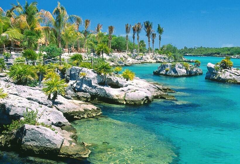 酒店 Acuario Playa Del Carmen