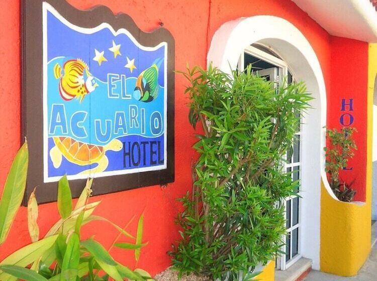 酒店 Acuario Playa Del Carmen