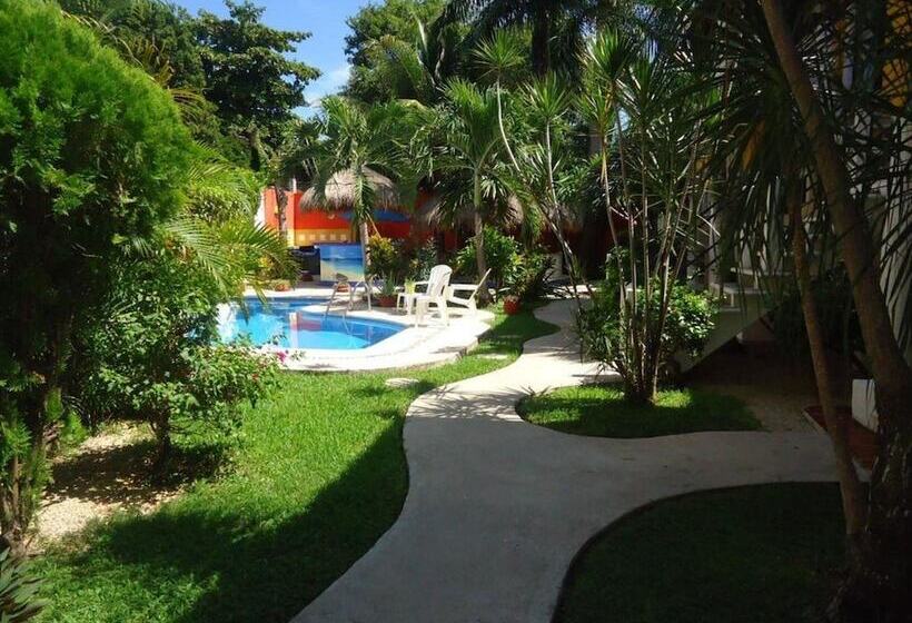 酒店 Acuario Playa Del Carmen