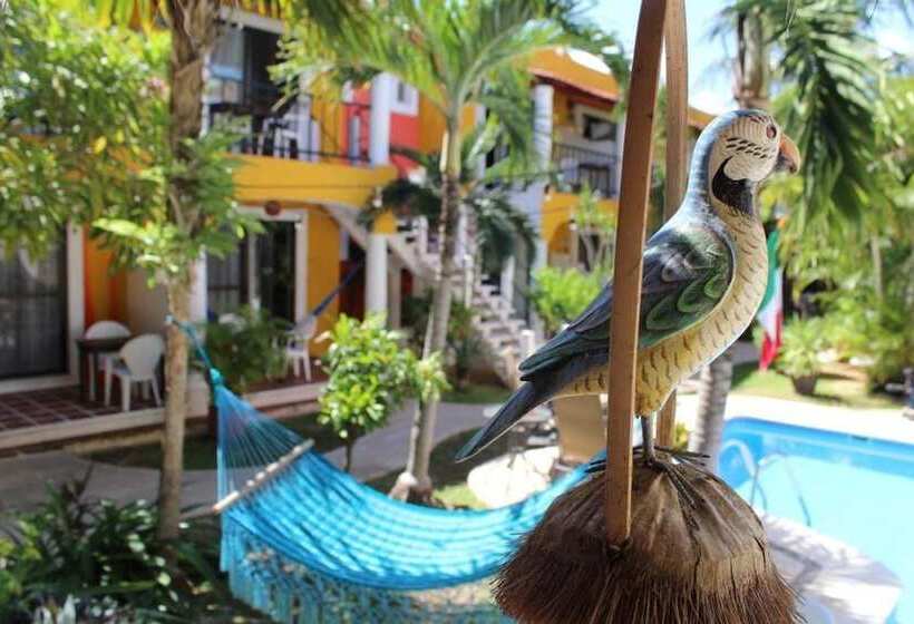 酒店 Acuario Playa Del Carmen